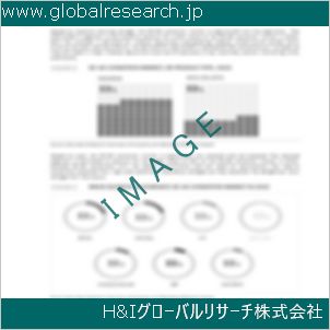 グローバルリサーチ調査資料のイメージ